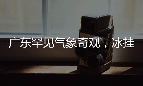 廣東罕見(jiàn)氣象奇觀(guān)，冰掛霧凇現(xiàn)身，寒冷成就自然之美