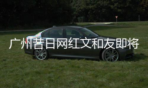 廣州昔日網(wǎng)紅文和友即將撤場，引發(fā)各界關(guān)注