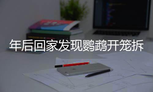 年后回家發(fā)現(xiàn)鸚鵡開籠拆家，主人講述獨特經(jīng)歷與反思