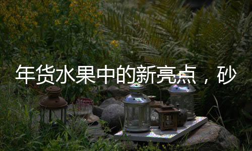 年貨水果中的新亮點，砂糖桔并非C位