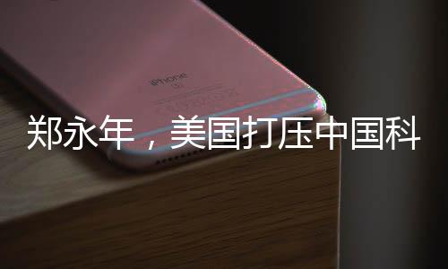 鄭永年，美國(guó)打壓中國(guó)科技是愚蠢的