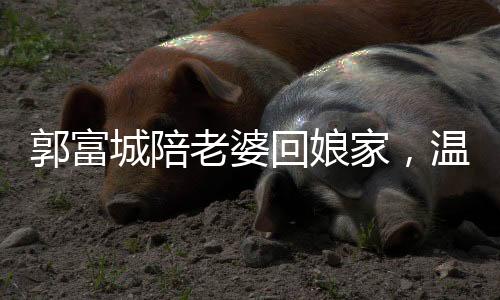 郭富城陪老婆回娘家，溫馨發(fā)紅包傳遞愛(ài)意
