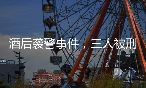 酒后襲警事件，三人被刑拘，警示社會必須尊重法律