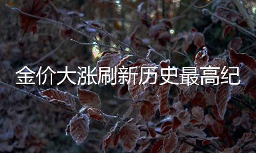 金價大漲刷新歷史最高紀錄，深度解析與前景展望
