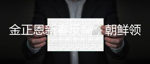 金正恩新春反腐，朝鮮領導層重塑清廉形象的新篇章