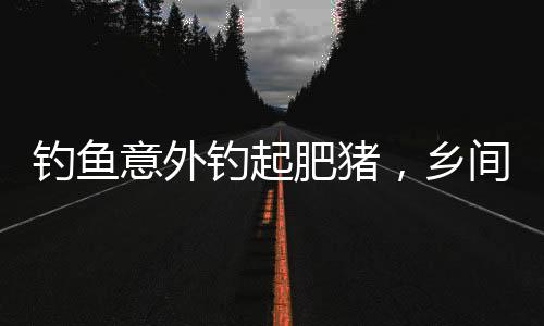 釣魚意外釣起肥豬，鄉(xiāng)間故事激起熱議