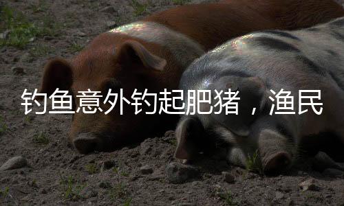 釣魚意外釣起肥豬，漁民喜獲大收獲！