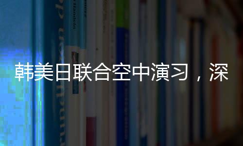 韓美日聯(lián)合空中演習，深化三國安全合作的戰(zhàn)略舉措