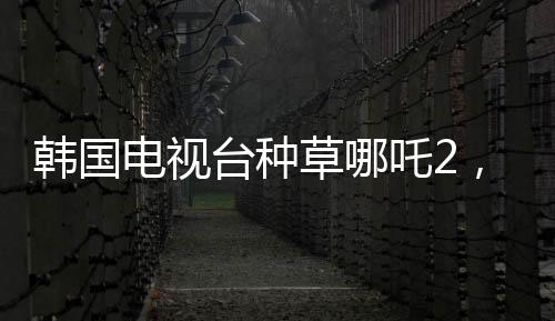 韓國(guó)電視臺(tái)種草哪吒2，中韓文化交流的新里程碑