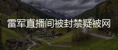 雷軍直播間被封禁疑被網(wǎng)友舉報，互聯(lián)網(wǎng)時代的公眾爭議事件解析