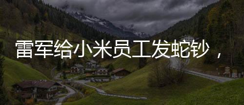 雷軍給小米員工發(fā)蛇鈔，揭秘一場特殊的福利活動