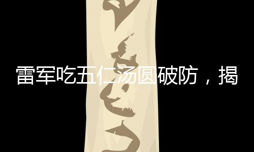 雷軍吃五仁湯圓破防，揭秘背后的故事與情感共鳴