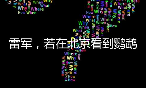 雷軍，若在北京看到鸚鵡綠，那便是我