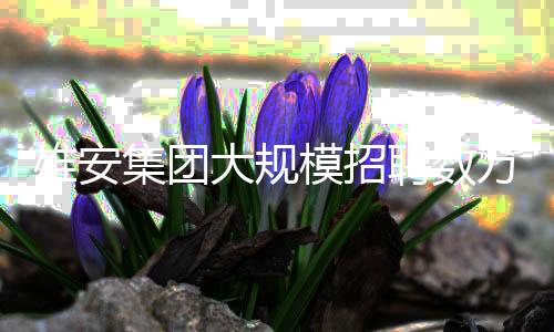 雄安集團大規(guī)模招聘數(shù)萬人？假！