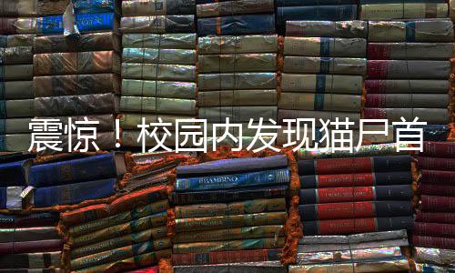 震驚！校園內發(fā)現(xiàn)貓尸首分離被塞入課桌，引發(fā)關注與調查