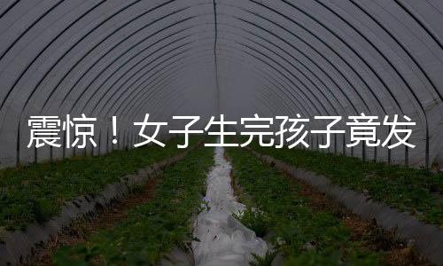 震驚！女子生完孩子竟發(fā)現(xiàn)準(zhǔn)丈夫已婚，背后的故事引人深思