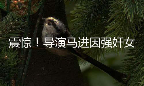 震驚！導(dǎo)演馬進因強奸女星被判刑，行業(yè)內(nèi)部曝光
