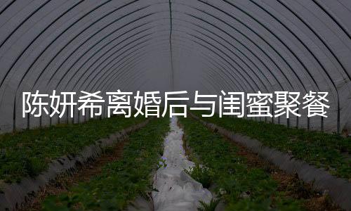 陳妍希離婚后與閨蜜聚餐狀態(tài)良好，積極面對生活的新篇章