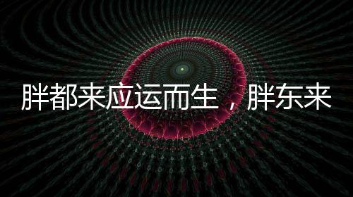 胖都來(lái)應(yīng)運(yùn)而生，胖東來(lái)品牌回應(yīng)市場(chǎng)新動(dòng)態(tài)