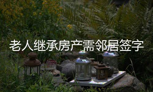 老人繼承房產(chǎn)需鄰居簽字，新規(guī)下的財產(chǎn)傳承難題與社區(qū)和諧共治