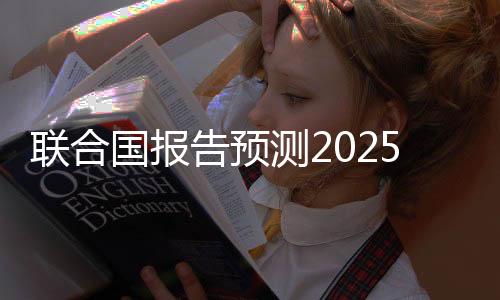 聯(lián)合國報告預(yù)測2025年全球經(jīng)濟增長將維持在2.8%