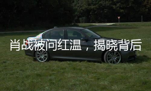 肖戰(zhàn)被問(wèn)紅溫，揭曉背后真相，一夜熱議事件的全方位解讀