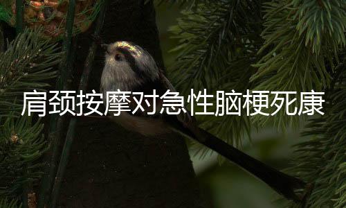 肩頸按摩對(duì)急性腦梗死康復(fù)的重要影響