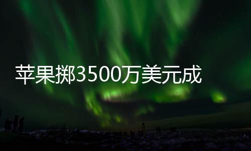 蘋果擲3500萬美元成立新公司 或?qū)⒂?025年推出AI手機