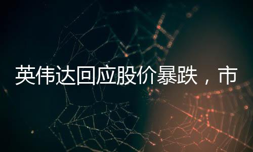 英偉達(dá)回應(yīng)股價(jià)暴跌，市場波動背后的真相與未來展望
