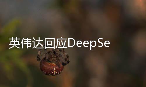 英偉達(dá)回應(yīng)DeepSeek模型，揭秘技術(shù)與未來的探討