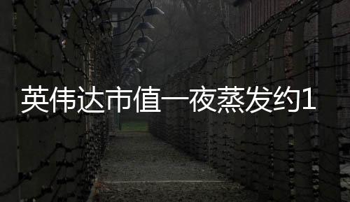 英偉達市值一夜蒸發(fā)約1.2萬億元，科技與投資者的震驚瞬間