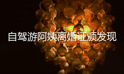 自駕游阿姨離婚證頒發(fā)現(xiàn)場，笑容背后的故事引人深思