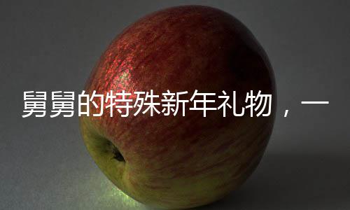 舅舅的特殊新年禮物，一車溫馨祝福，外甥女的復(fù)雜情緒