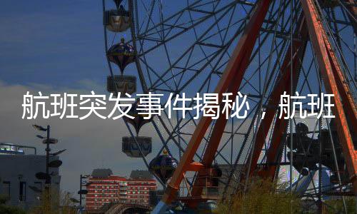 航班突發(fā)事件揭秘，航班上12個廁所堵塞11個的驚人情況
