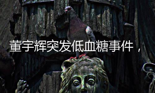 董宇輝突發(fā)低血糖事件，健康挑戰(zhàn)與應(yīng)對(duì)之道