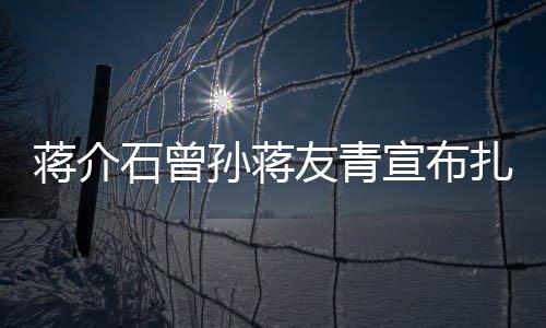蔣介石曾孫蔣友青宣布扎根杭州，歷史與現(xiàn)代的交融
