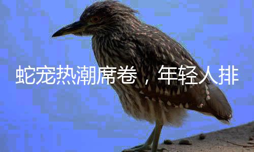 蛇寵熱潮席卷，年輕人排隊(duì)擼蛇，另類(lèi)寵物養(yǎng)成新風(fēng)尚