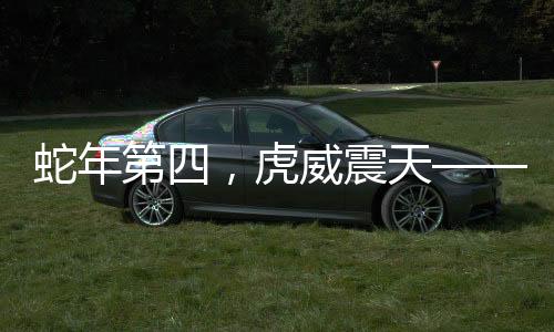蛇年第四，虎威震天——探尋生肖背后的文化力量