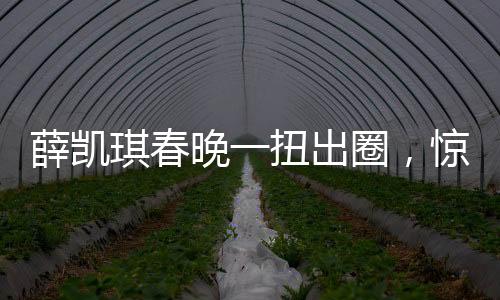 薛凱琪春晚一扭出圈，驚艷表演引發(fā)全民熱議