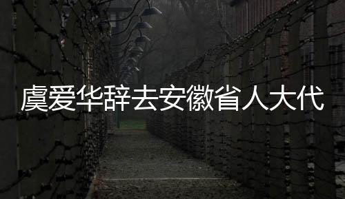 虞愛華辭去安徽省人大代表職務(wù)，開啟新的人生征程