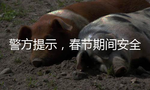 警方提示，春節(jié)期間安全防范意識(shí)不可或缺