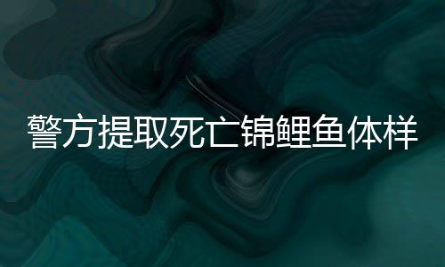 警方提取死亡錦鯉魚體樣本送檢，揭開離奇死亡事件真相