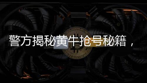 警方揭秘黃牛搶號(hào)秘籍，揭露非法手段，維護(hù)公平秩序