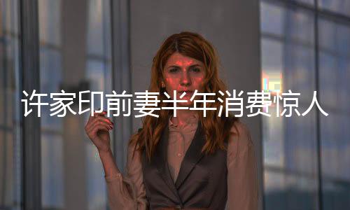 許家印前妻半年消費(fèi)驚人，揭秘四百萬(wàn)美金背后的故事