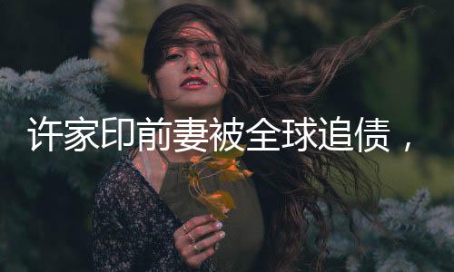 許家印前妻被全球追債，揭秘背后的故事