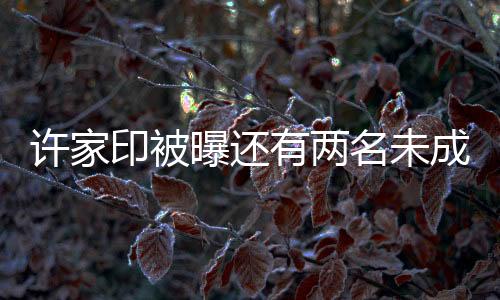 許家印被曝還有兩名未成年子女，揭秘背后的故事