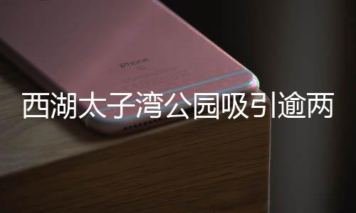 西湖太子灣公園吸引逾兩億人參與，旅游熱潮一浪高過一浪