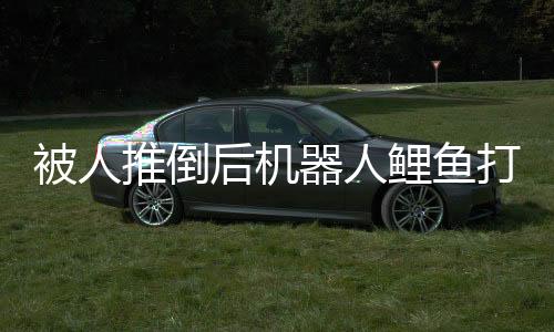 被人推倒后機(jī)器人鯉魚(yú)打挺起身，科技與力量的完美結(jié)合