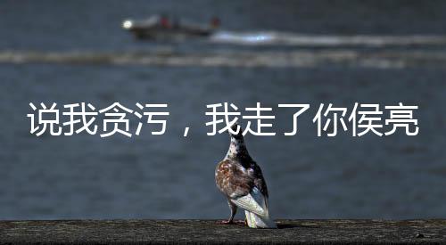 說我貪污，我走了你侯亮平哭什么