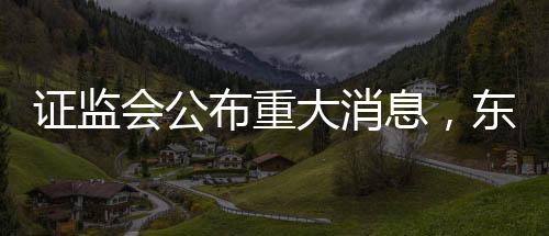 證監(jiān)會公布重大消息，東方集團涉嫌重大財務(wù)造假案件紀(jì)實